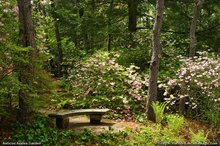 Another bench to rest on while viewing the garden