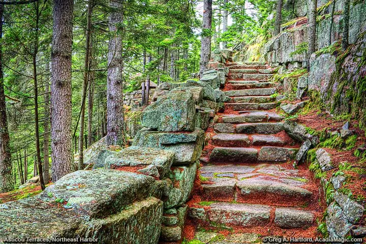 Asticou Terraces in Northeast Harbor, Maine