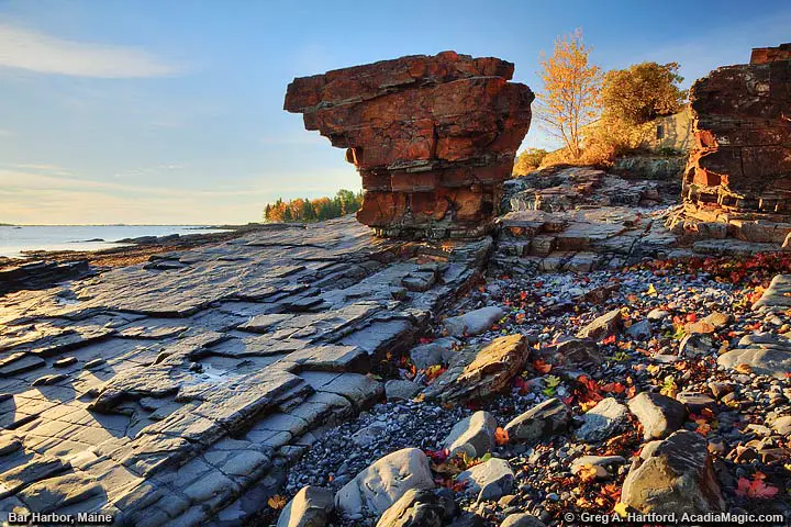 Near the Shore Path in Bar Harbor, Maine