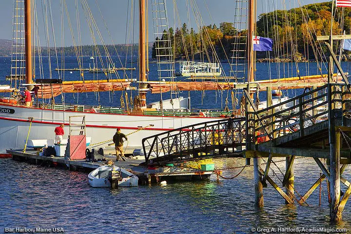 Margaret Todd Schooner in Bar Harbor
