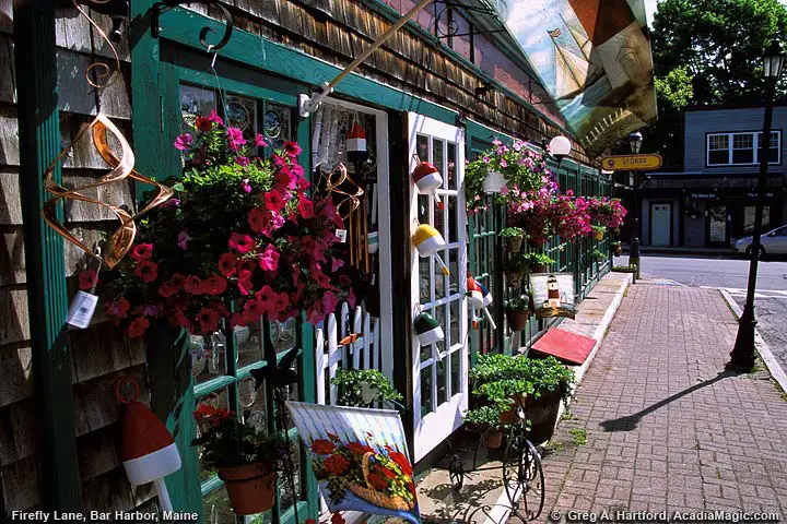 Firefly Lane in Bar Harbor