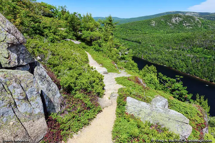 Beech Mountain hiking Trail in Acadia