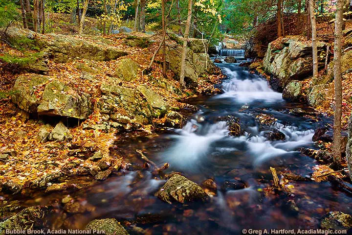 Bubble Brook flowing to Eagle Lake