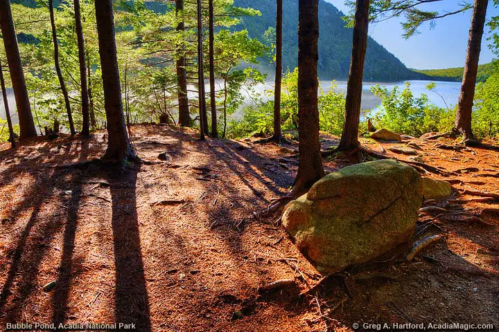 Next to Bubble Pond in Acadia National Park