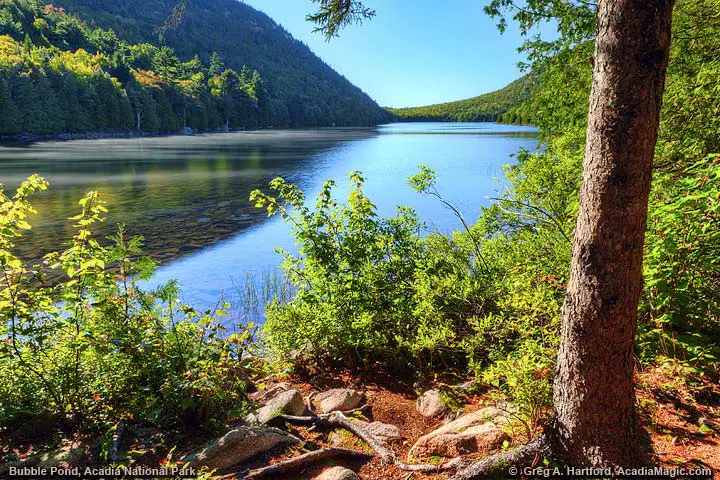 Trail at Bubble Pond
