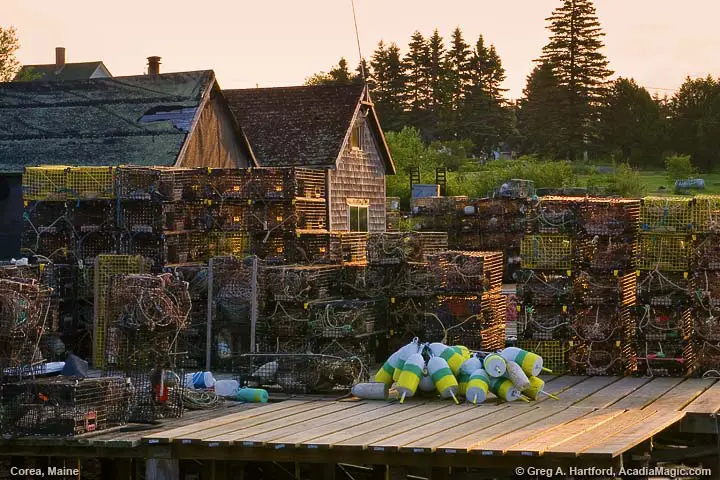 A local pier covered with lobster traps