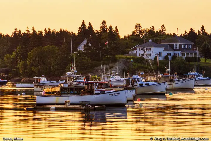 Downeast Fishing Village of Corea
