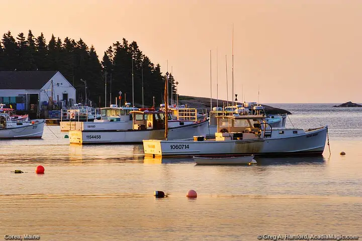 Lobster boats at the harbor outlet