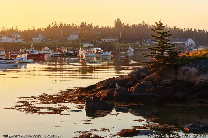 Village of Corea in Gouldsboro, Maine