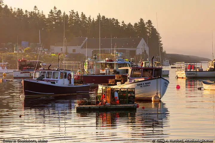 Lobster Boats in Fishing Harbor