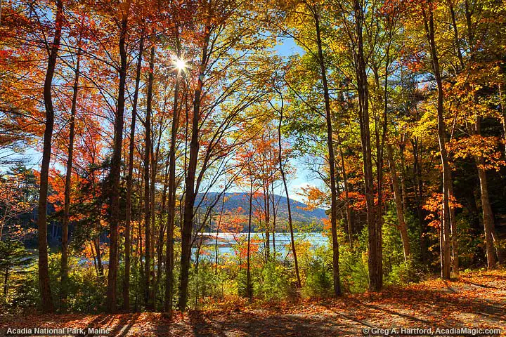 Carriage Road at Eagle Lake in Acadia National Park
