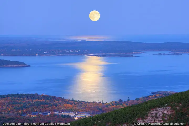 Moonrise over Jackson Lab in Bar Harbor