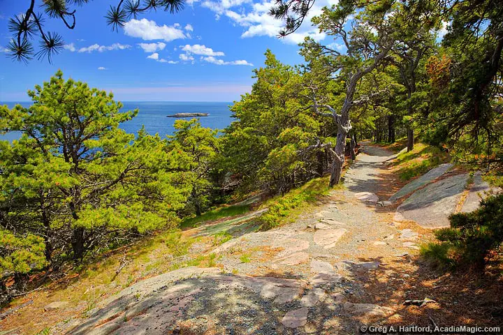 The Ocean Path near Sand Beach in Acadia National Park