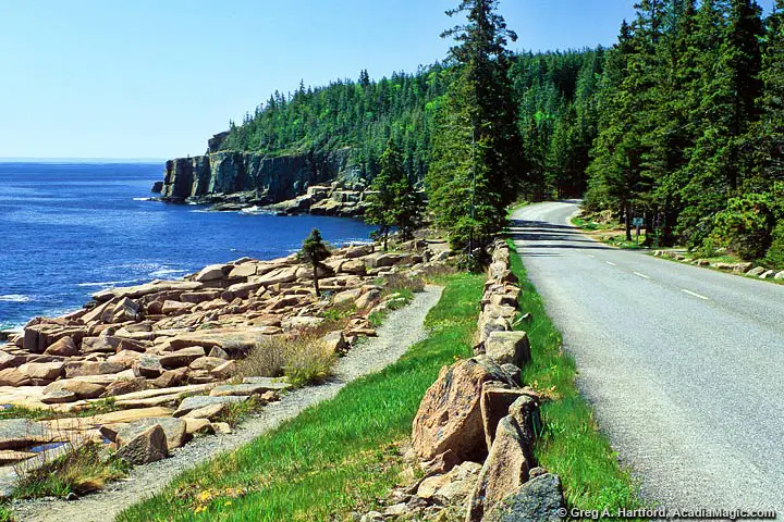 Park Loop Road in Acadia National Park