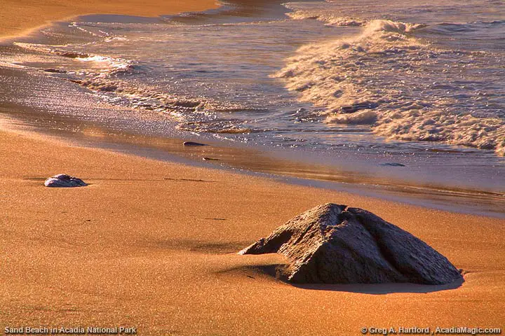 Sand Beach at dawn with golden sand
