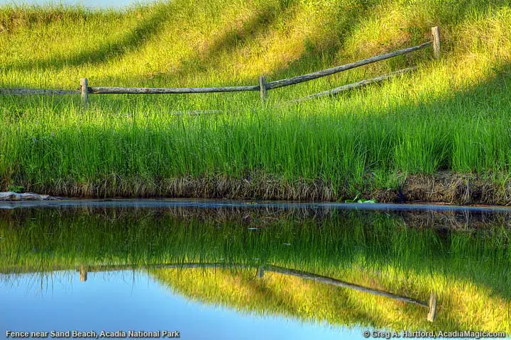 Fence and dune grass at Sand Beach in Acadia National Park