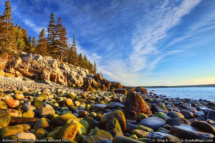 Rocky coast of shore at Schoodic Peninsula