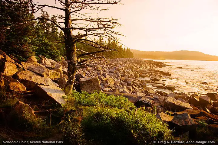 Schoodic Point in Acadia National Park