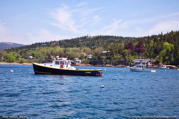 Yacts in Seal Harbor