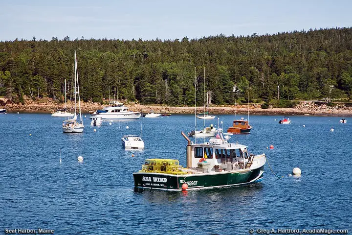 Boats in harbor