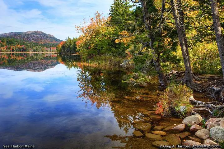 Autumn on Long Pond