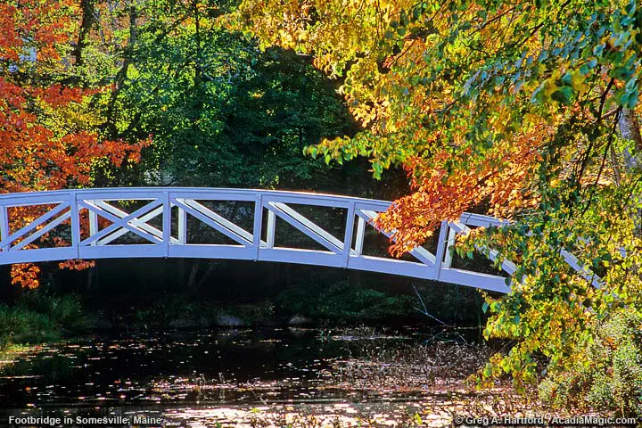 Close-up of footbridge