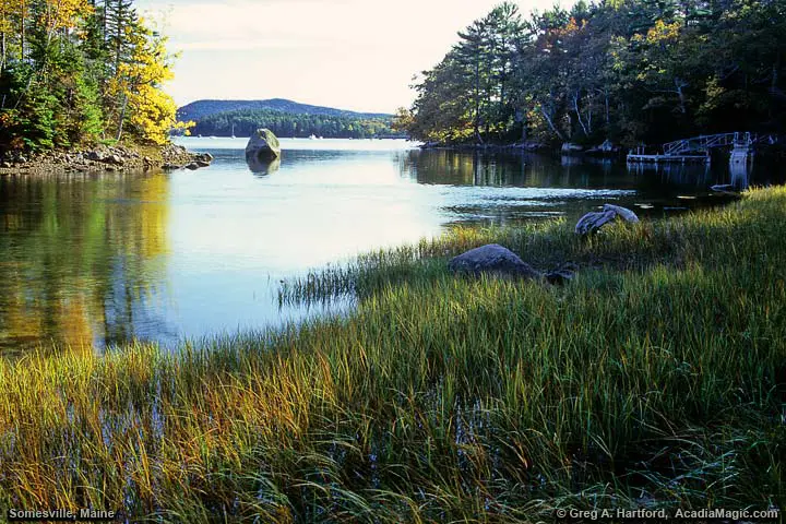 Northern end of Somes Sound
