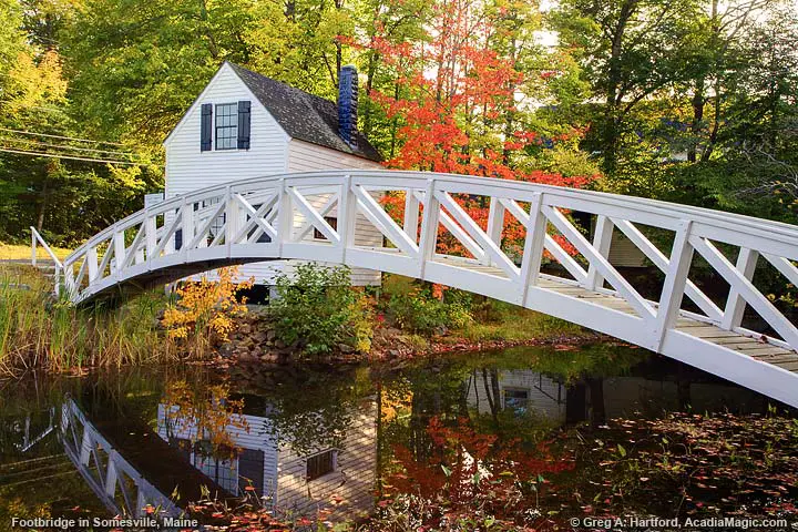 Autumn in Somesville