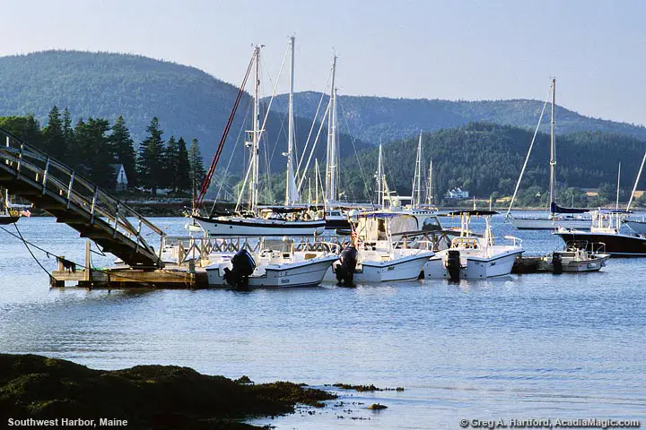 View from the shore