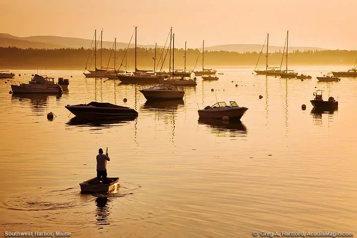 Man rowing boat in harbor