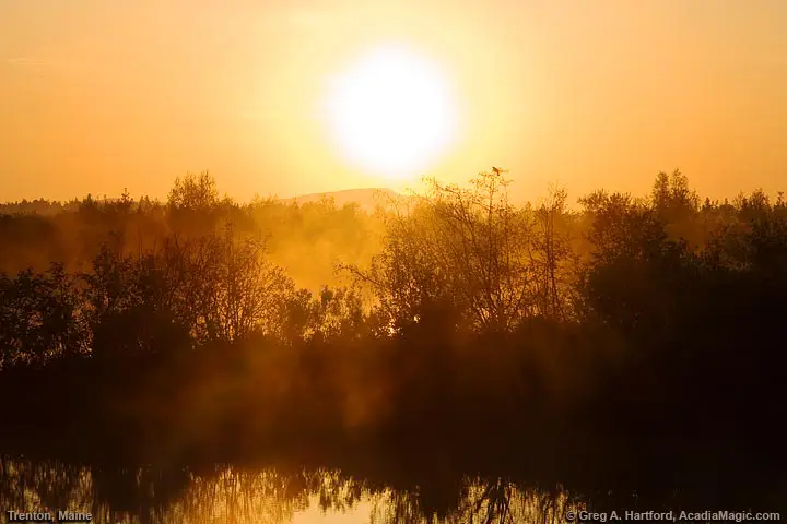 Morning mist at sunrise in Trenton, Maine
