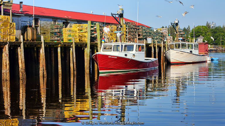 Bass Harbor lobstermen begin their work day