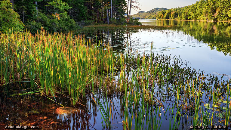 Eagle Lake next to Carriage Road in Acadia National Park
