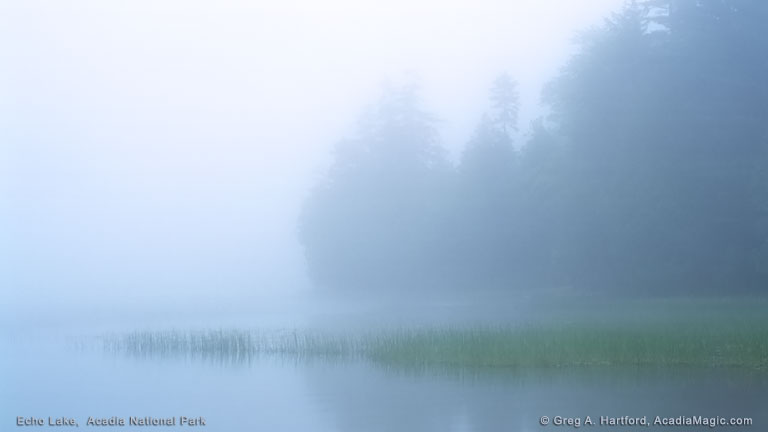 Foggy morning at Echo Lake Beach in Acadia