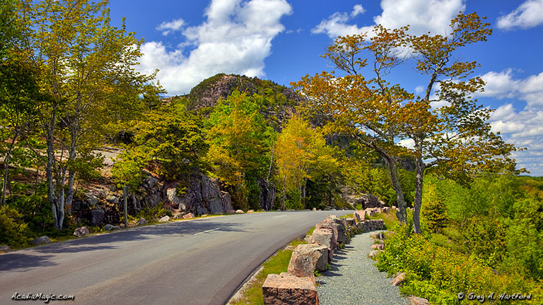 The Park Loop Road in Acadia