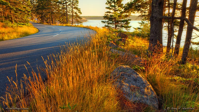 Park Loop Road in Acadia National Park, Maine