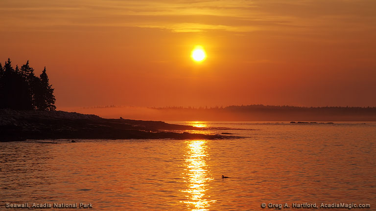 Golden ocean sunrise at Seawall in Acadia