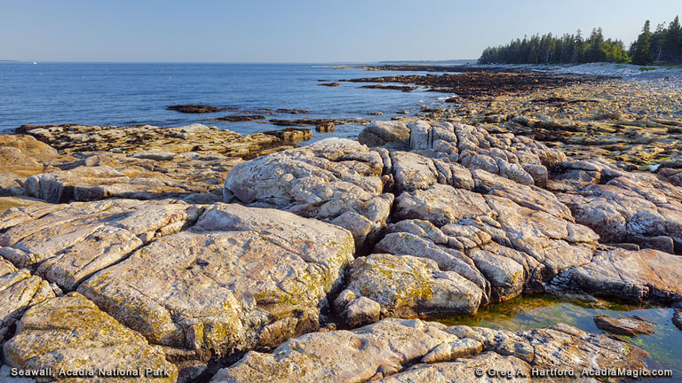 Seawall shore in Acadia