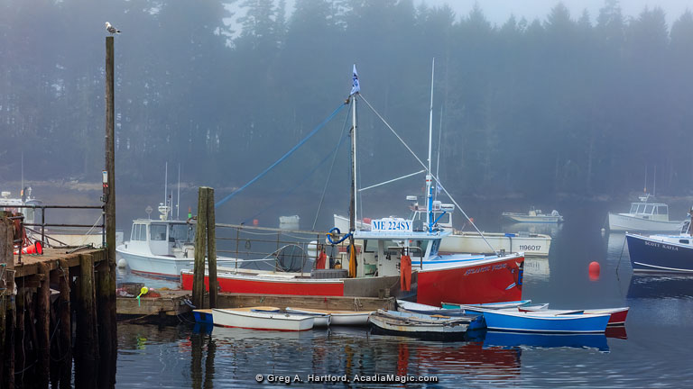 Winter Harbor, Maine