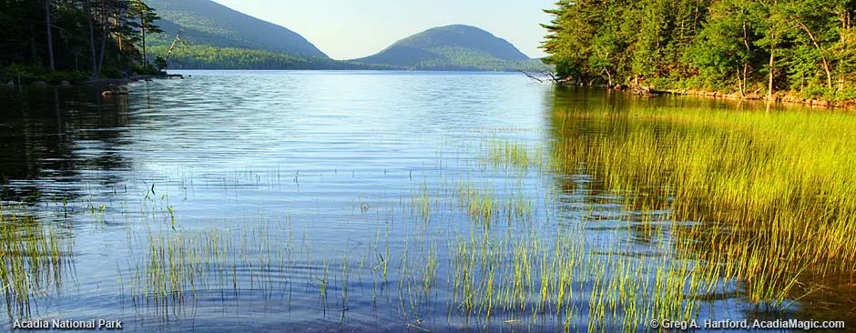 Acadia National Park Fishing Details