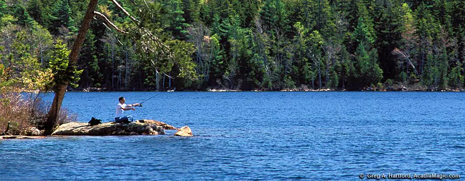 Acadia National Park Fishing Regulations