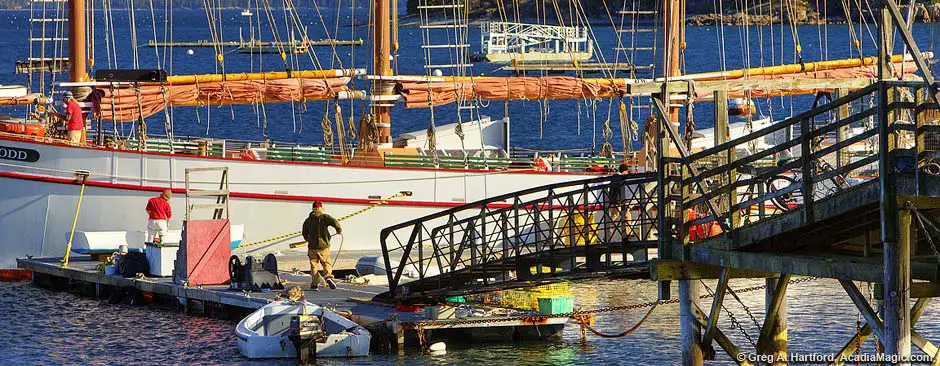 Early morning scene in Bar Harbor, Maine