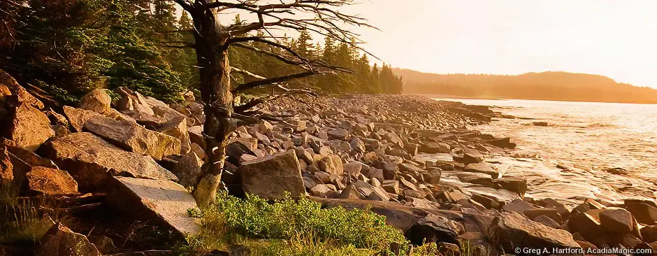 Sunrise on Schoodic Peninsula in Maine